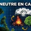Bois : son véritable impact climatique