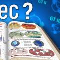 Comprendre le GIEC et ses rapports