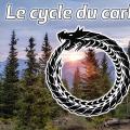 Le cycle du carbone