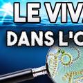 Pourquoi la vie galère dans l'océan ?